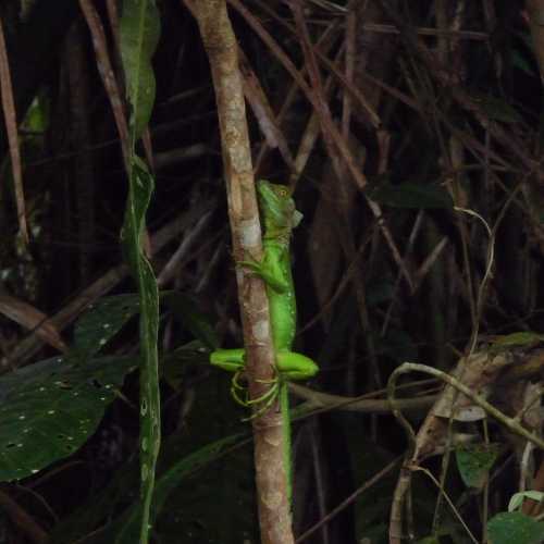 Costa Rica