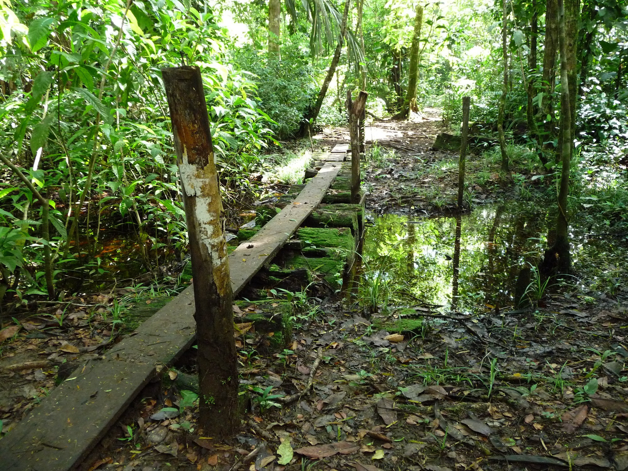 Costa Rica