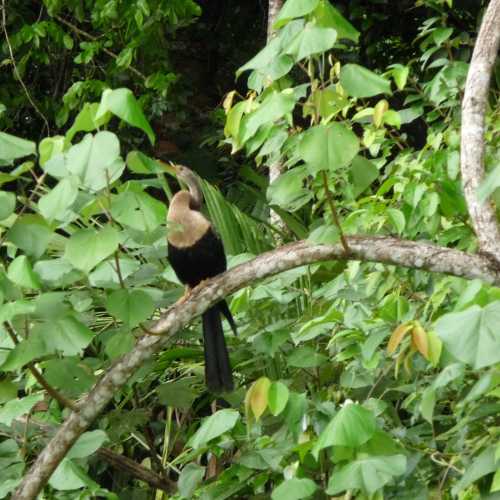 Costa Rica