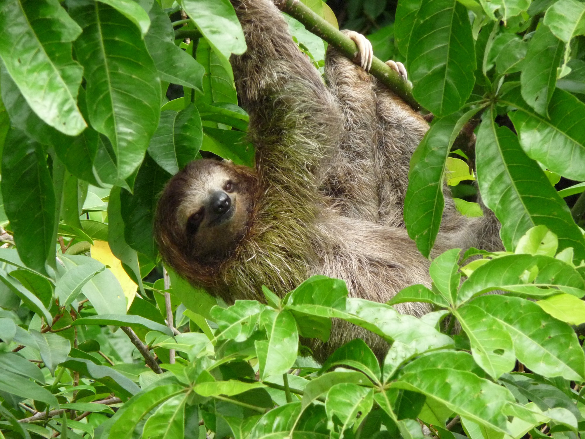 Costa Rica