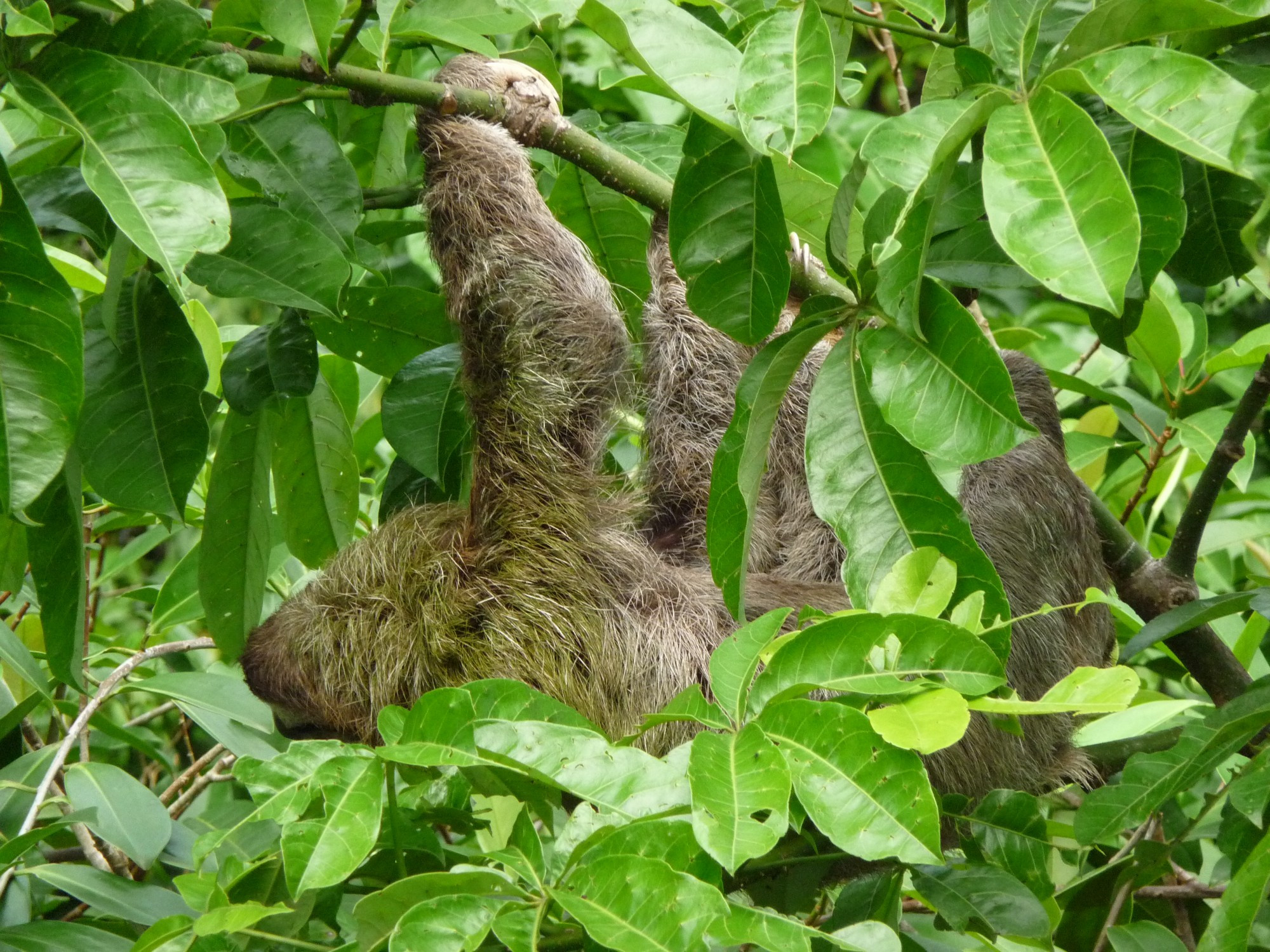 Costa Rica