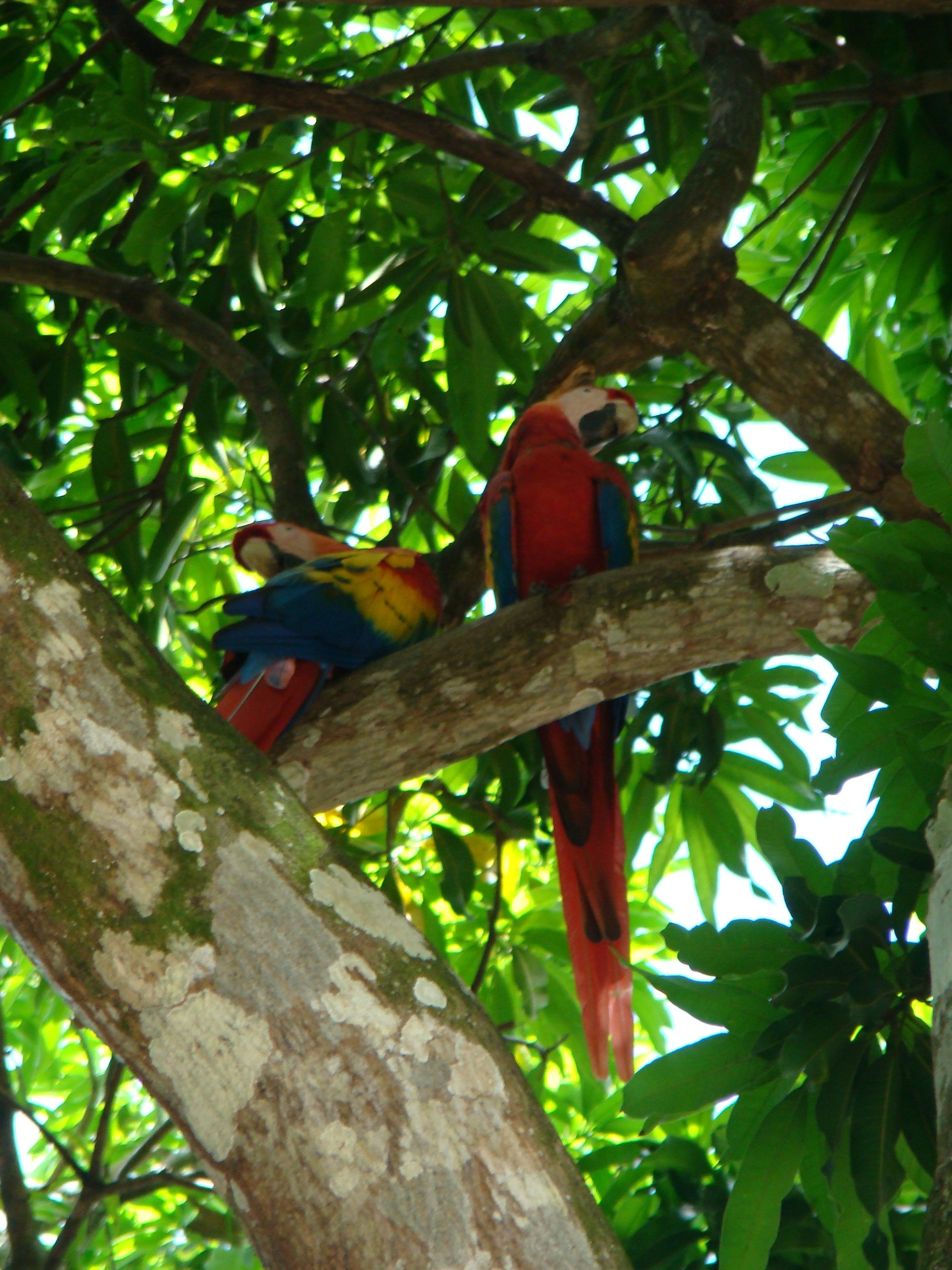 Costa Rica