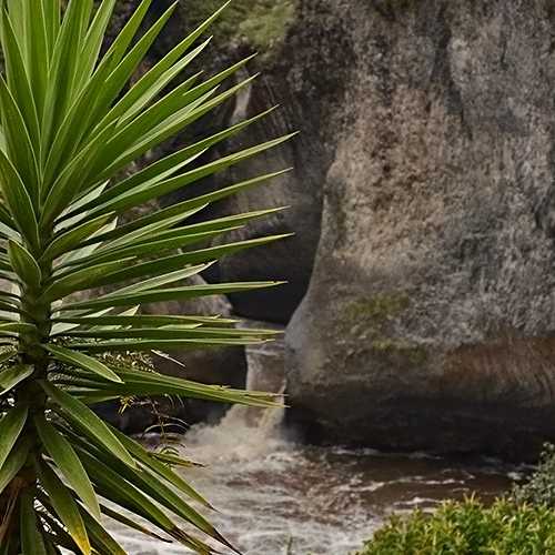 Ecuador