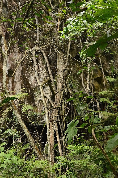 Ecuador