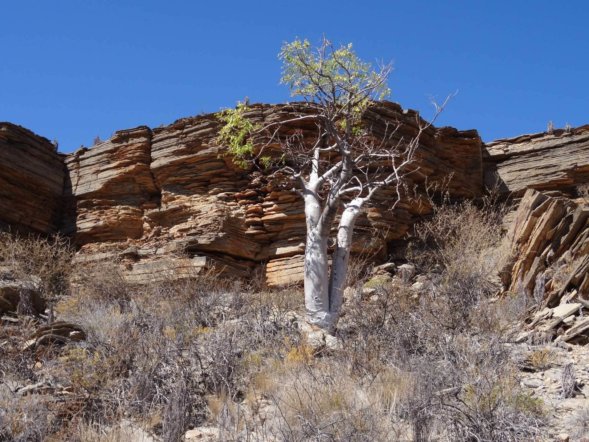 Namibia