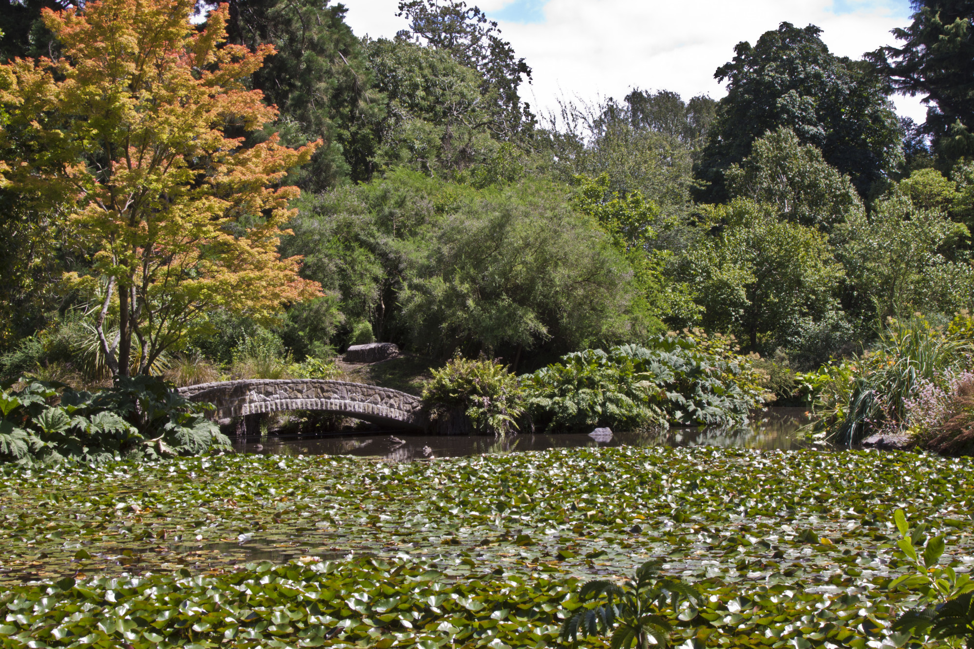 New Zealand