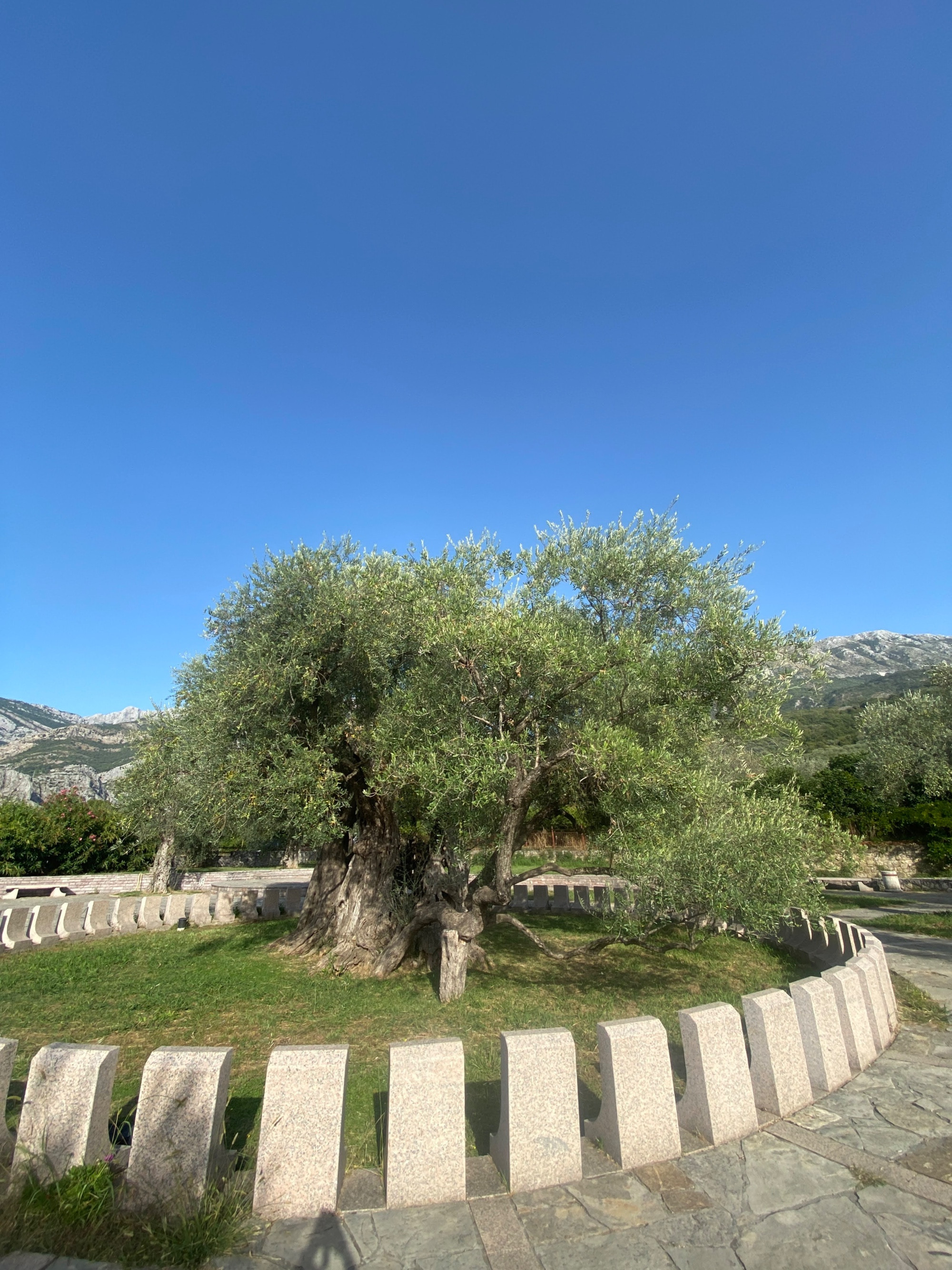 Stari Bar, Montenegro