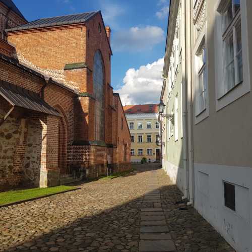 Тарту, Эстония