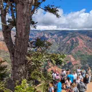 Waimea Canyon Lookout