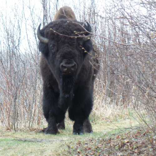 Canada