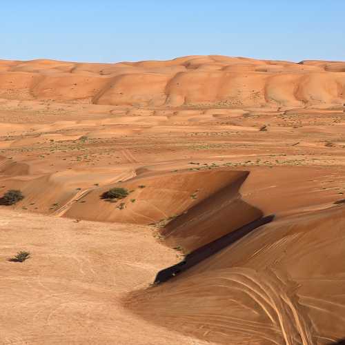 Ramlat Al Wahibah Desert