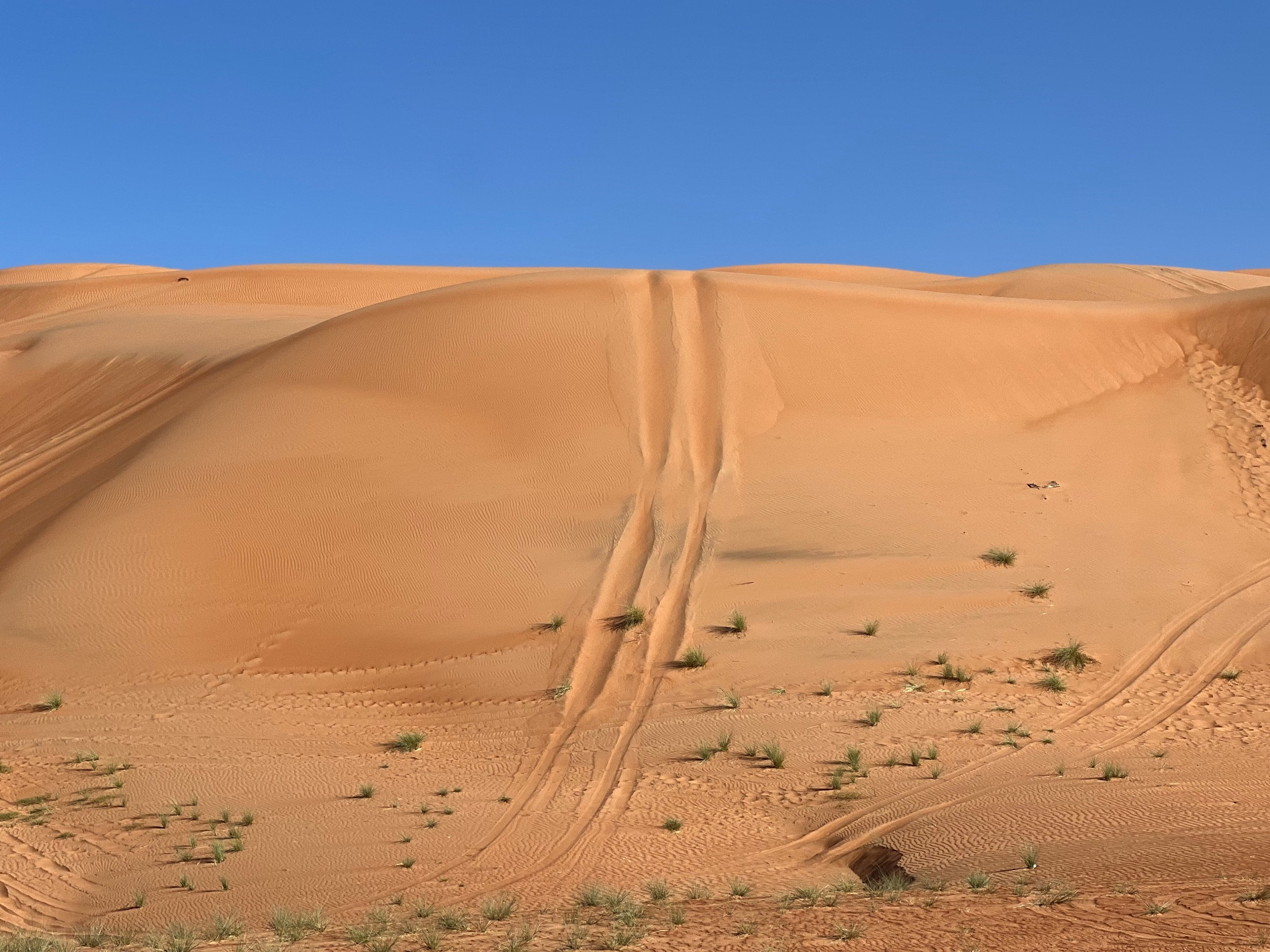 Ramlat Al Wahibah, Oman