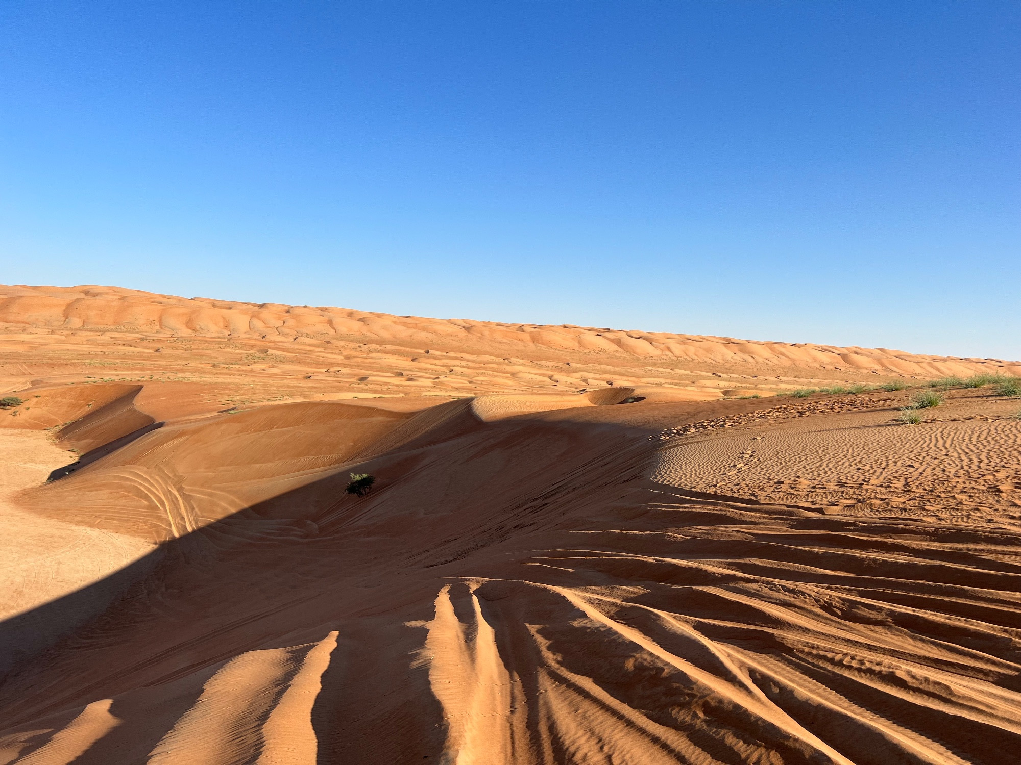 Ramlat Al Wahibah, Oman