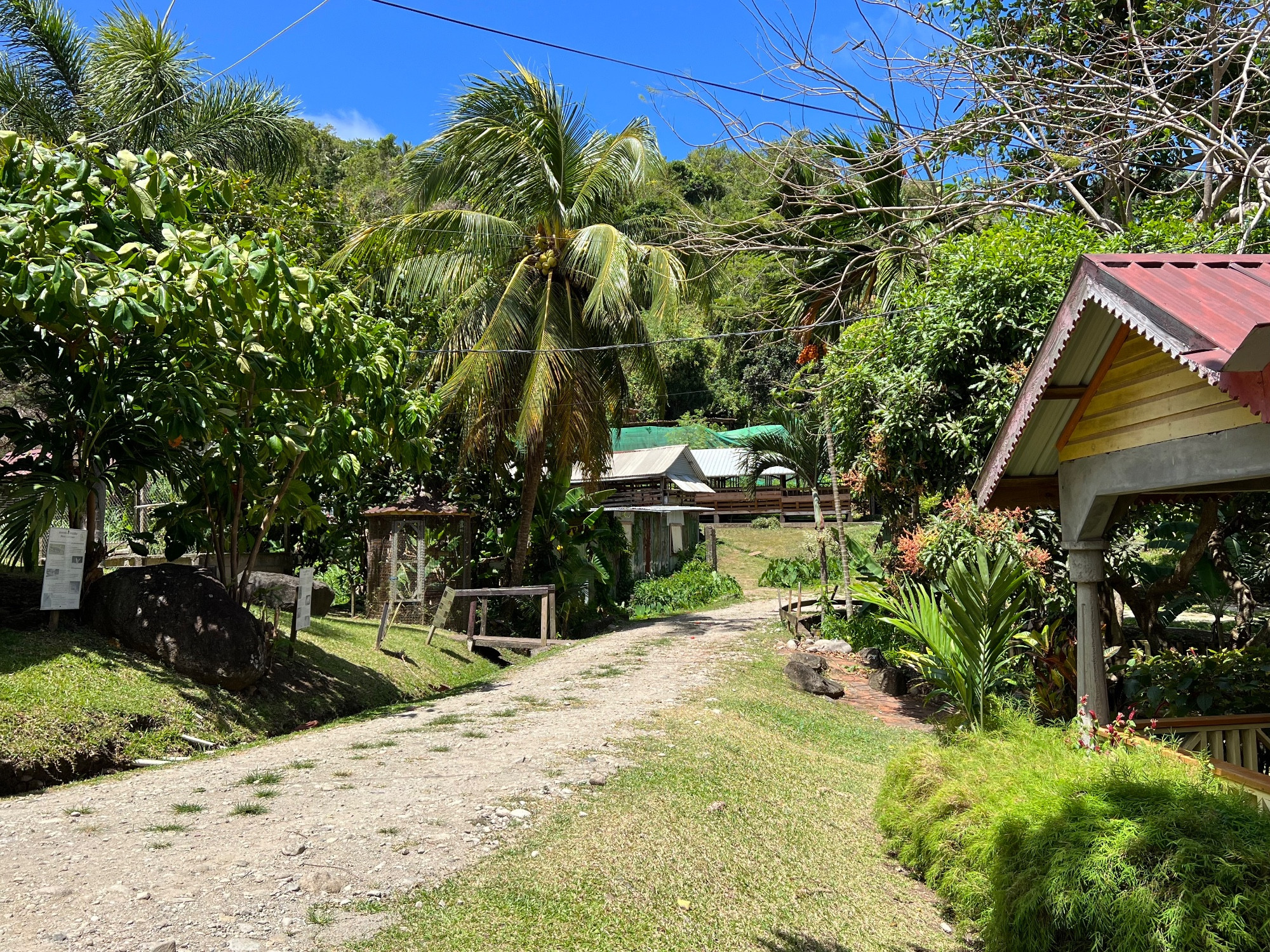 Belmont Estate, Grenada