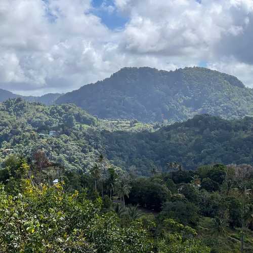 Tet Paul Nature Trail, Saint Lucia