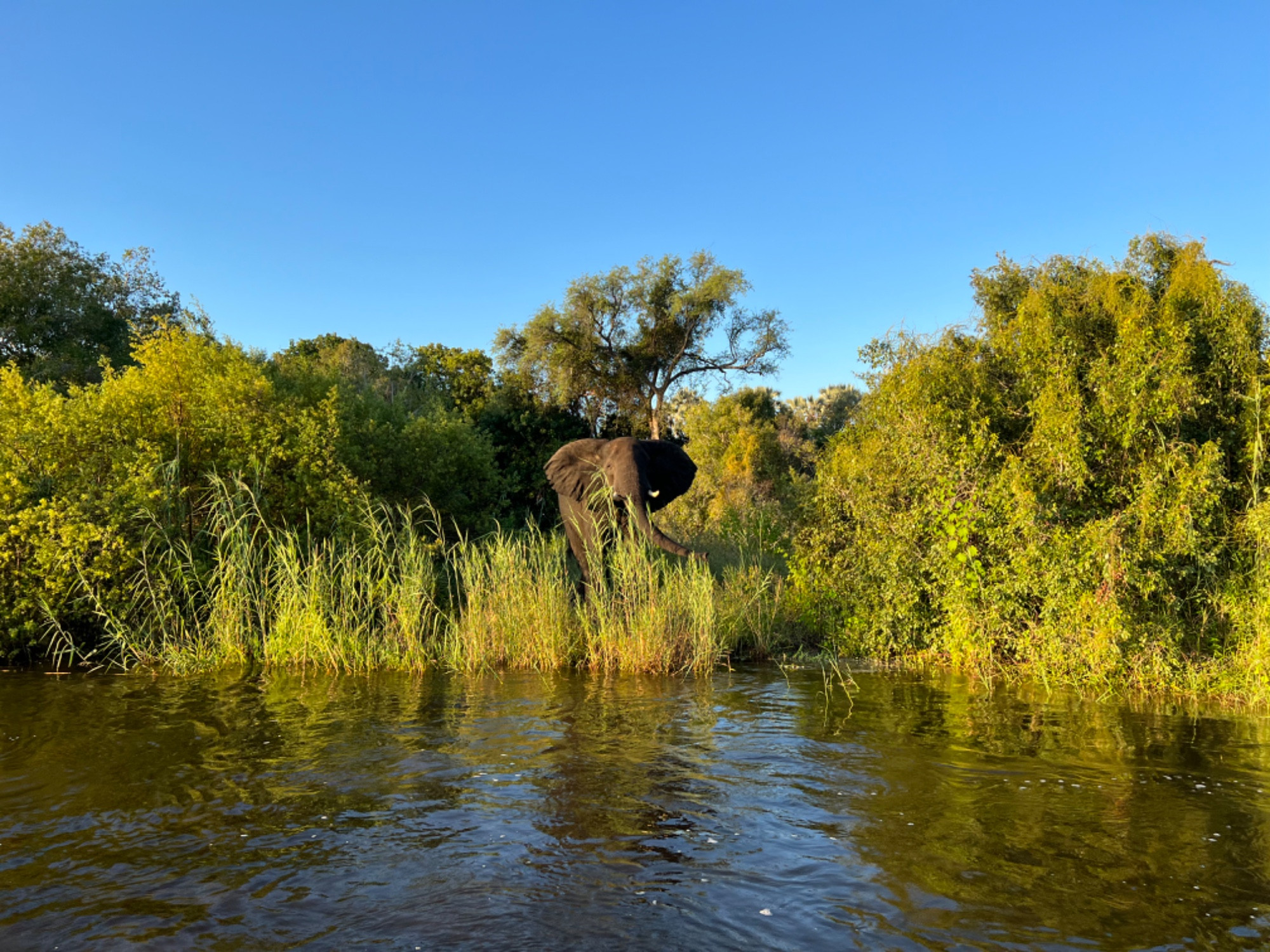 Zimbabwe