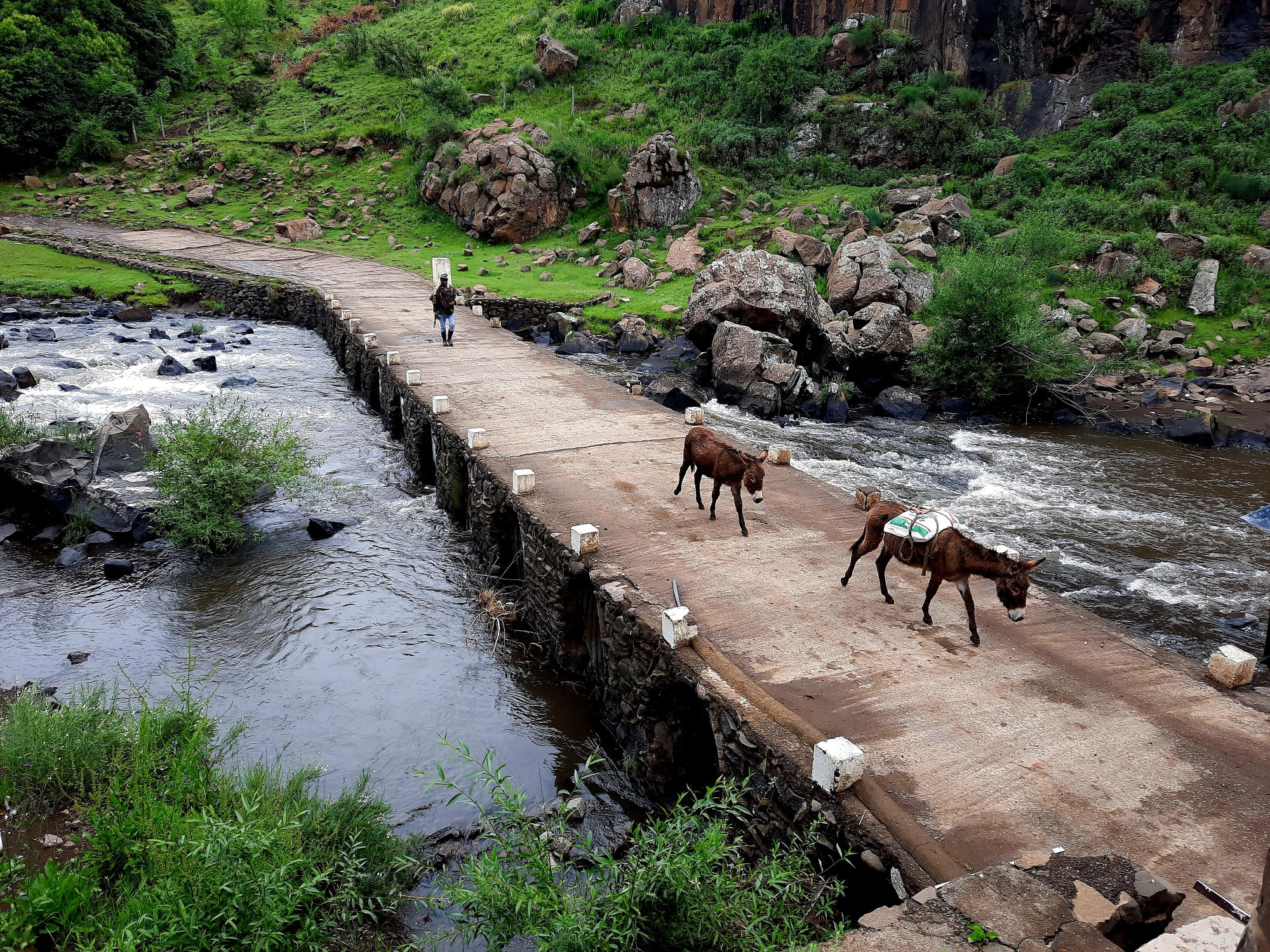 Lesotho