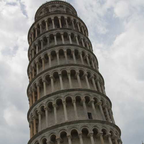 Tower of Pisa photo