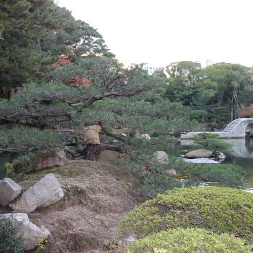 Сад Сюккэй-эн, Япония