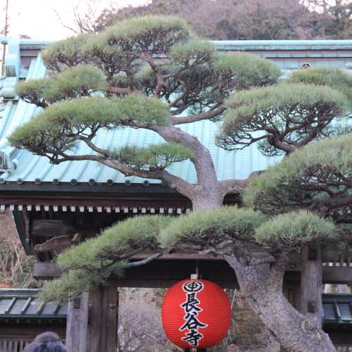 Храм Хасэ-дэра, Япония