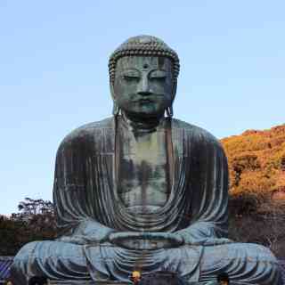 Great Buddha of Kamakura (Daibutsu photo