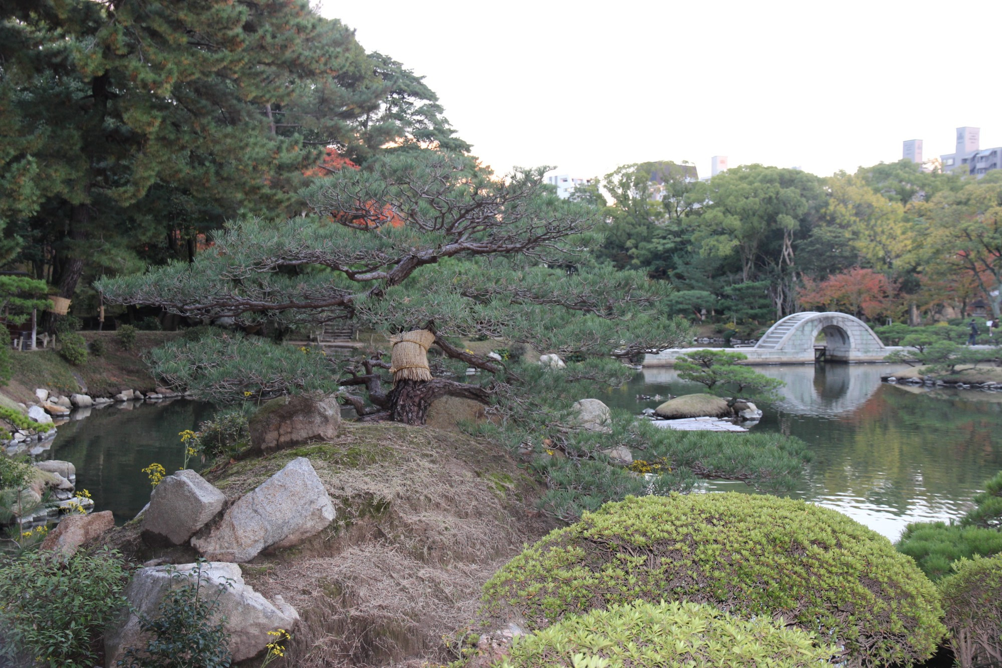Сад Сюккэй-эн, Япония