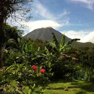 Arenal photo
