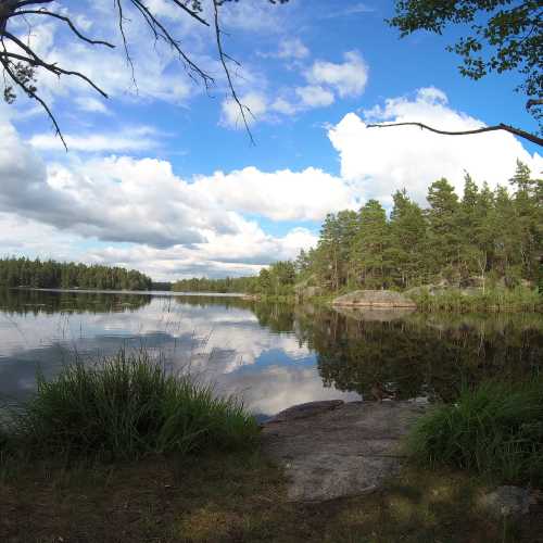 Tyresta national park, Sweden