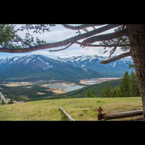 A view from Mt Norquay