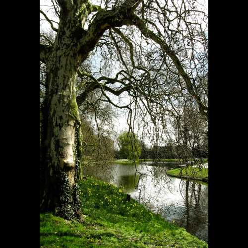 Нидерланды