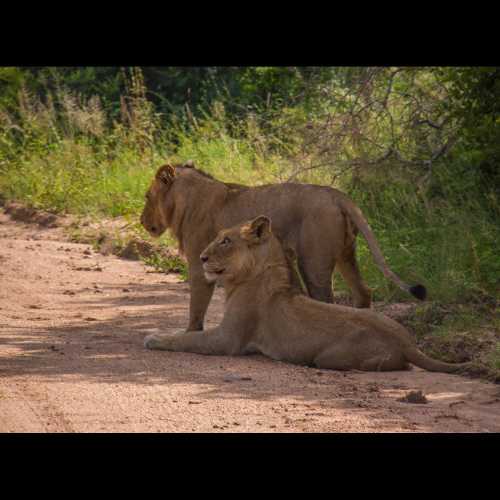 Национальный парк Крюгер, ЮАР