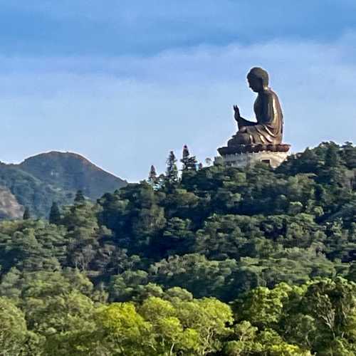 Гонконг, Гонконг