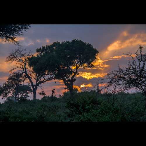 Национальный парк Крюгер, ЮАР