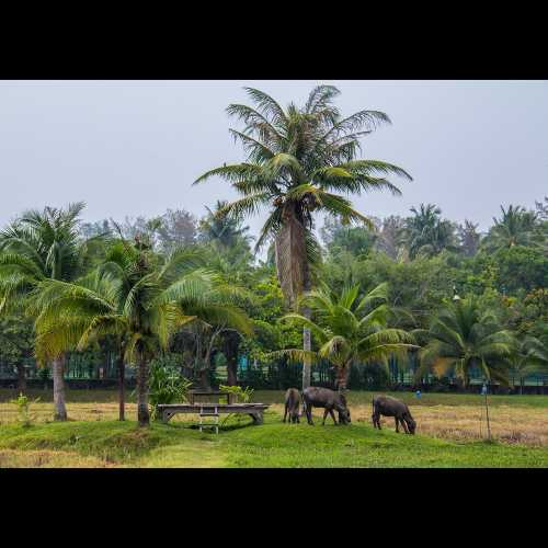 Langkawi, Malaysia