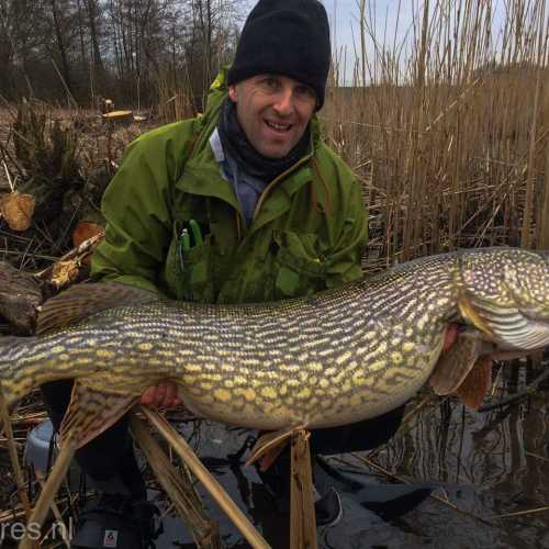 Нидерланды