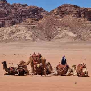 Wadi Rum