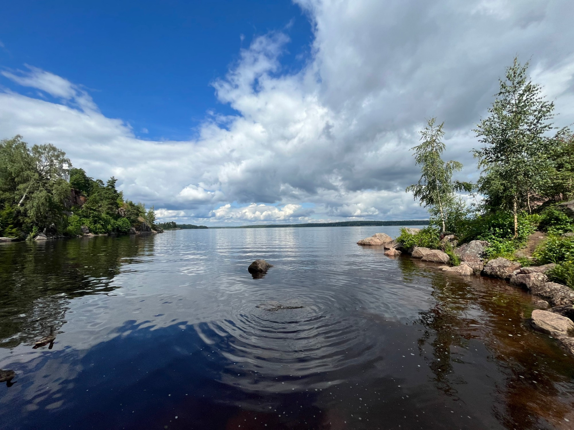 Парк Монрепо, Россия