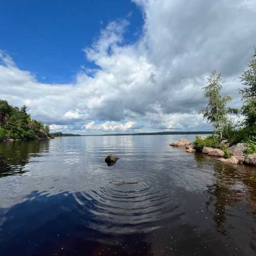 Парк Монрепо, Россия