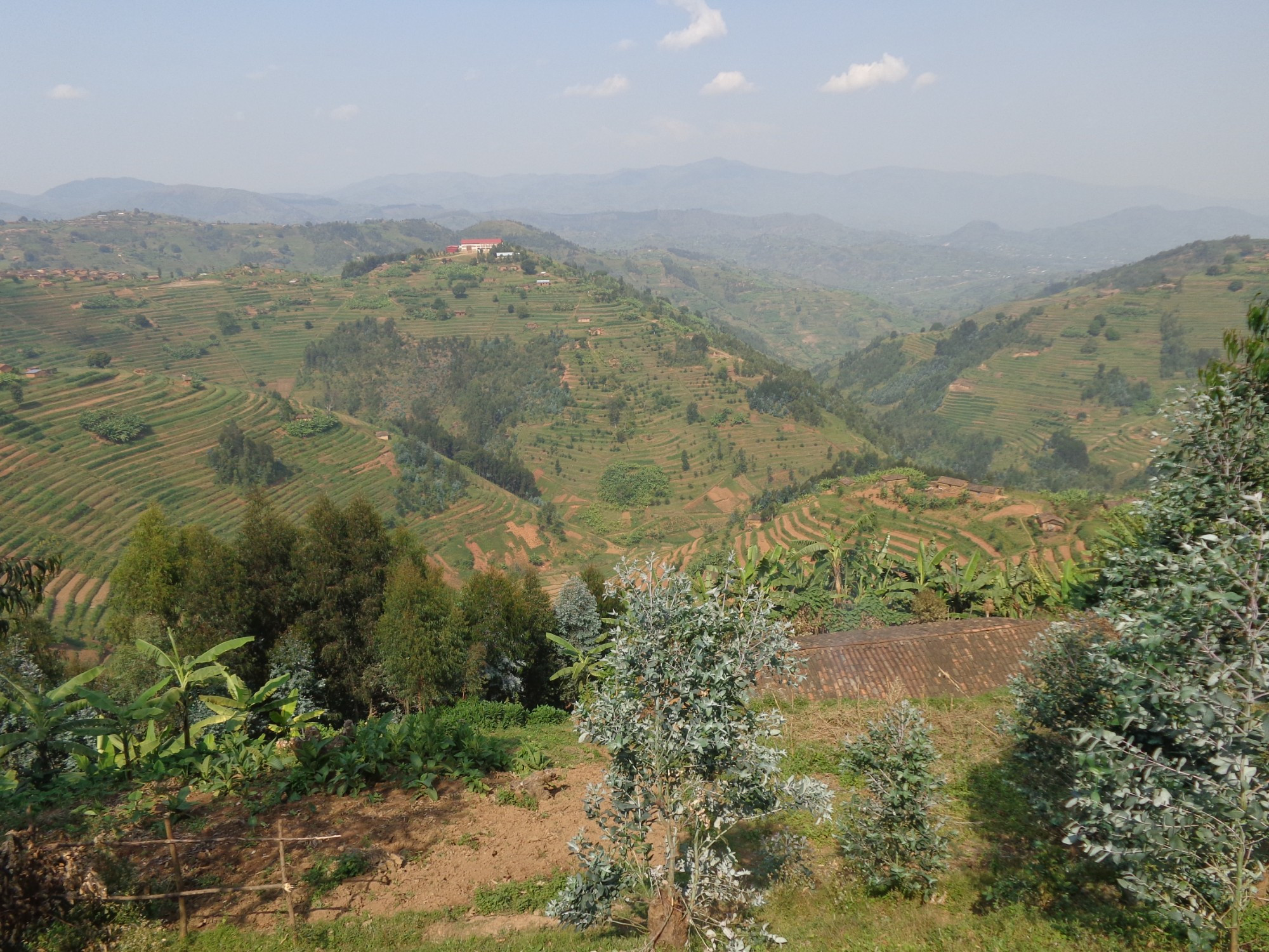 Rwanda