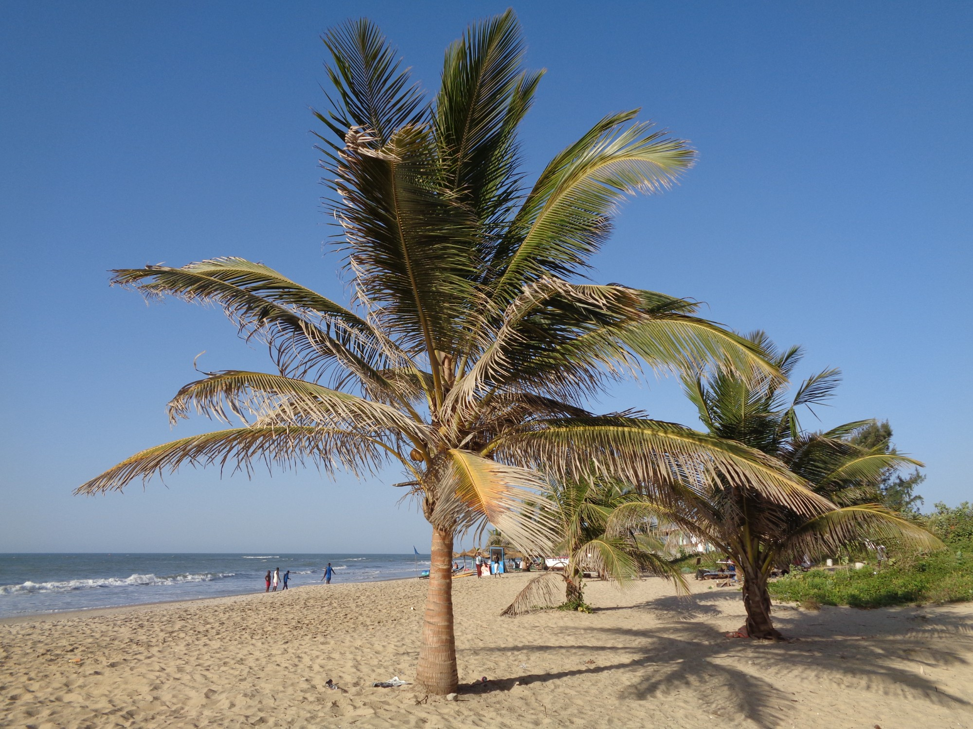 Gambia