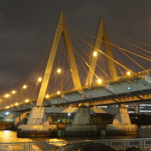 Мост Миллениум, Russia