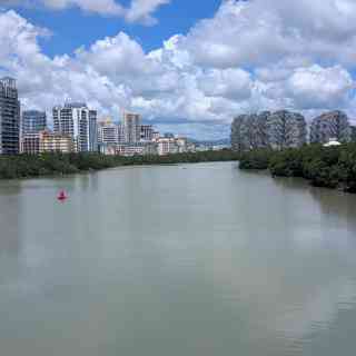 Дома Деревья