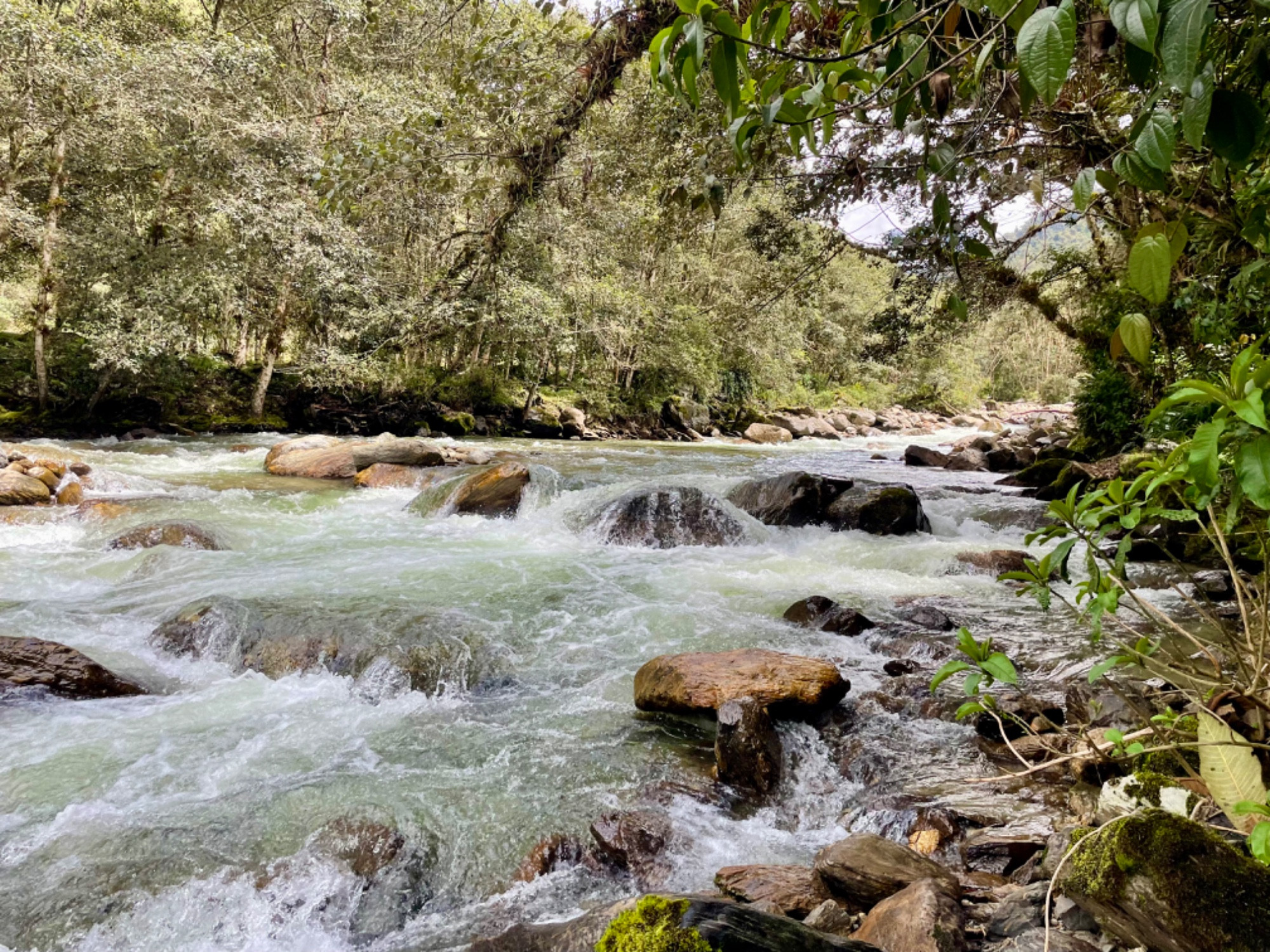 Ecuador