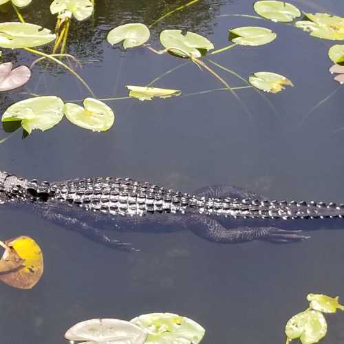 Everglades National Park, United States