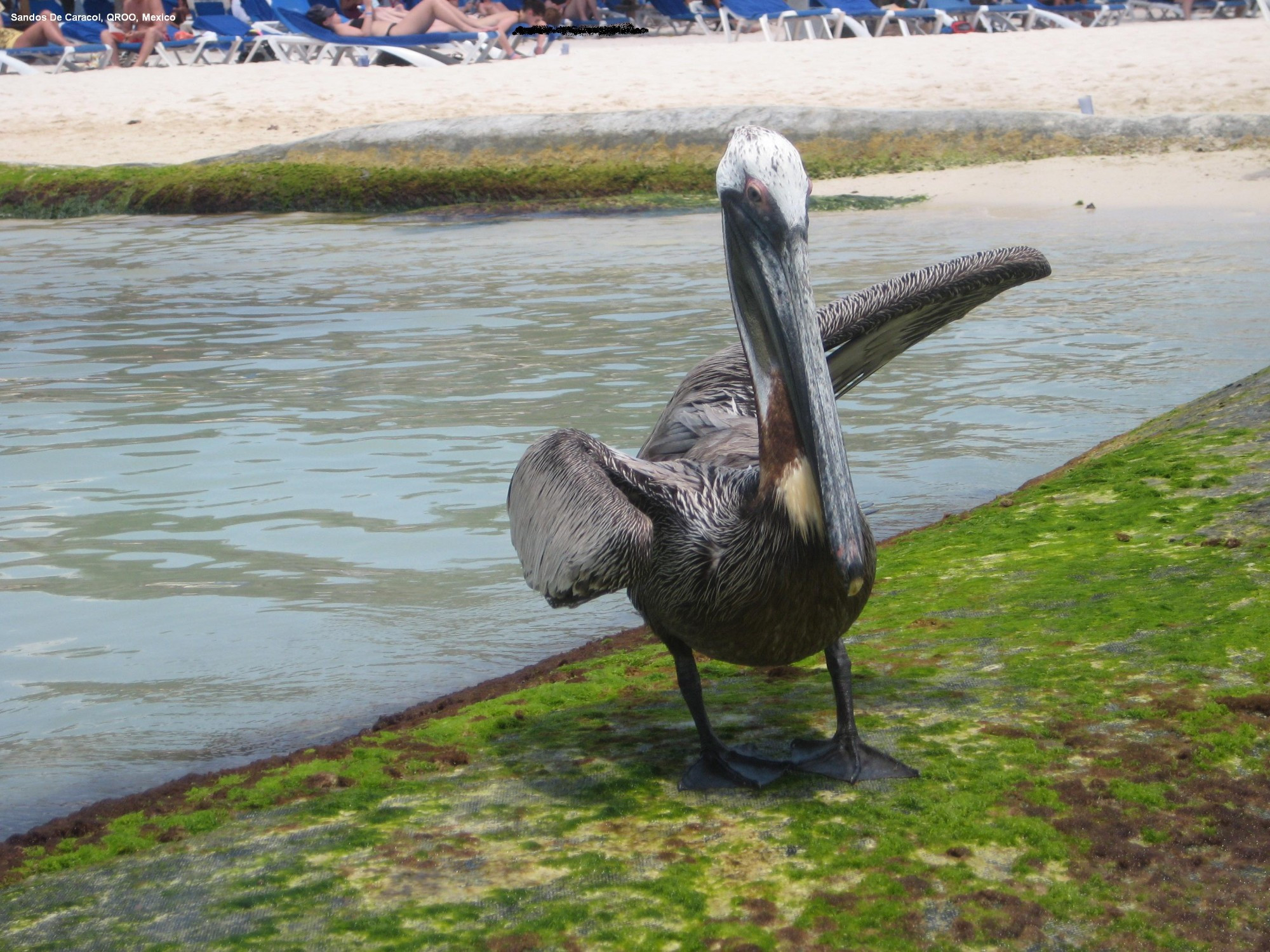 Playa del Carmen, Mexico