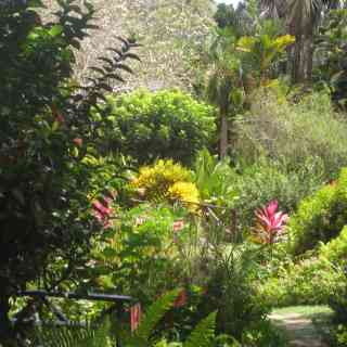 Andromeda Botanic Gardens photo