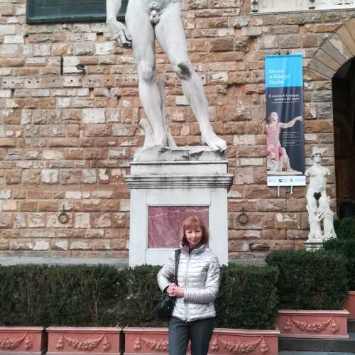 Чудо этой фотографии состоит в том, что на площади Синьории во Флоренции перед входом во Дворец Веккьо, где установлена статуя Давида работы Микеланжело (копия), всегда столпотворение, а мне б на миг, но удалось остаться с Давидом наедине. Март 2019 года. 