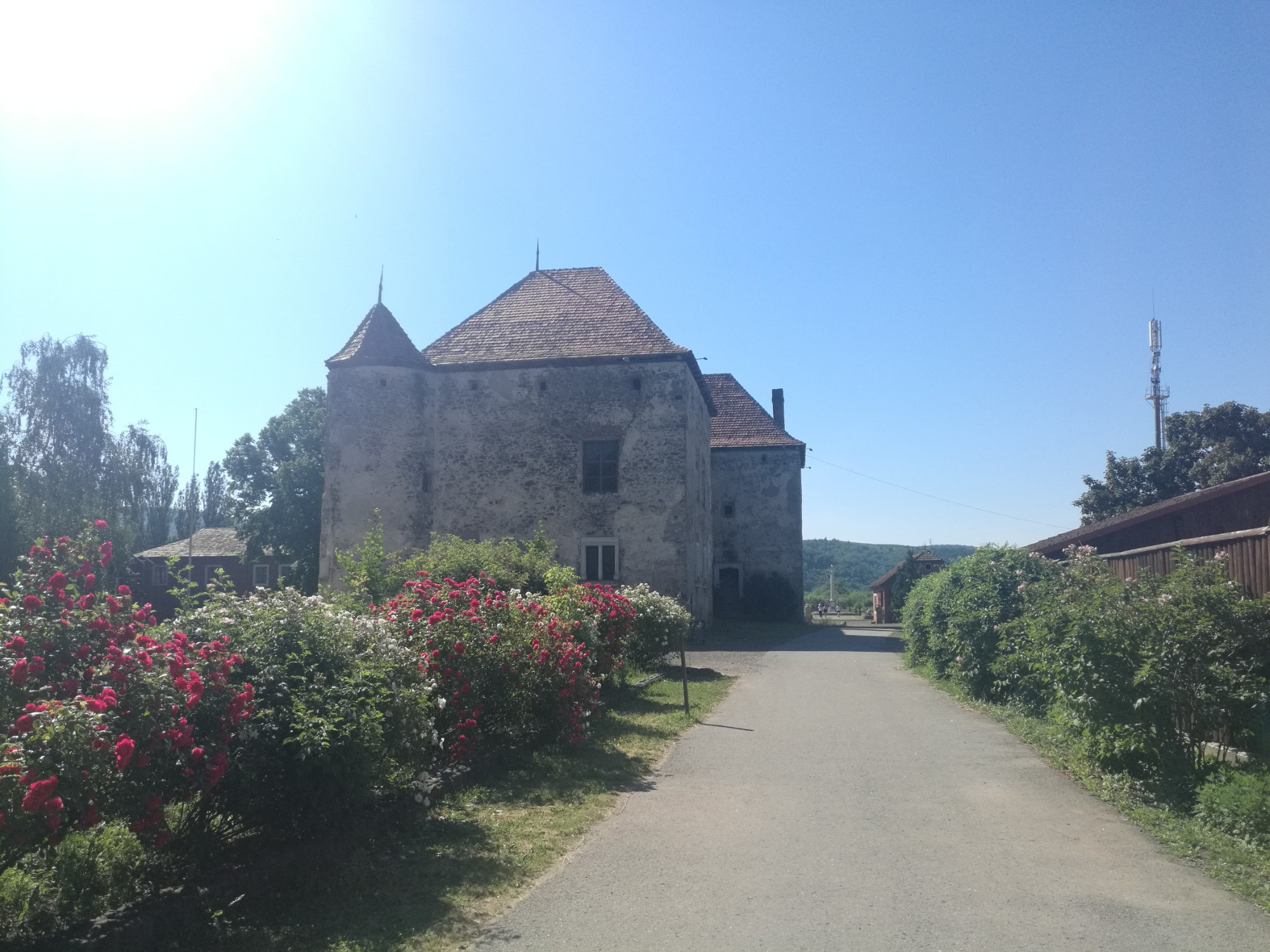 Замок Сент-Миклош, Ukraine