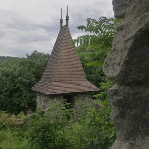 Невицкий замок, Украина