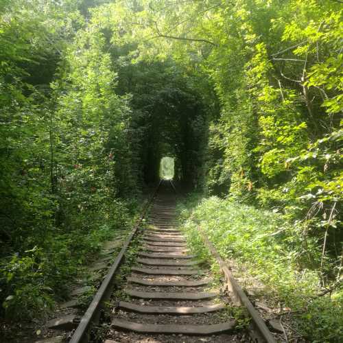 Тунель Кохання, Украина